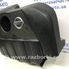 ФОТО Декоративна кришка ДВЗ для Nissan Qashqai (07-14) Киев
