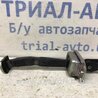 Обмежувач дверей задній лівий Nissan Qashqai (07-14)