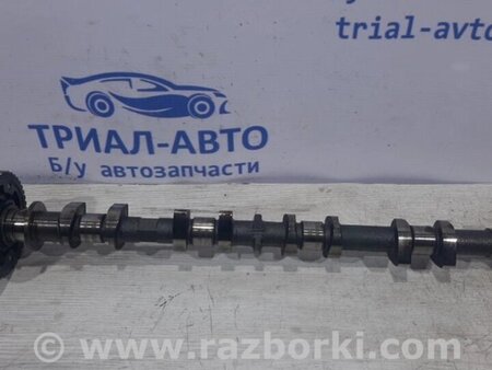 ФОТО Розподвав випускний для Nissan Juke (10-19) Киев