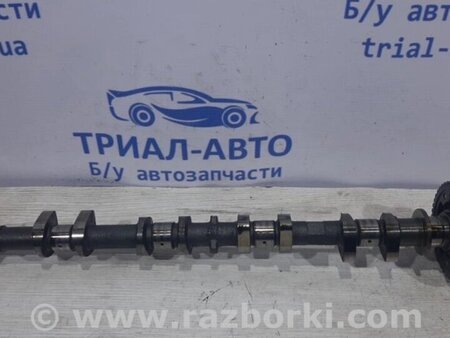 ФОТО Розподвав випускний для Nissan Juke (10-19) Киев
