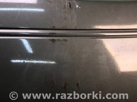 ФОТО Накладка двери для Lexus RX300 (98-03) Киев