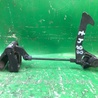 Ручка открывания капота Lexus ES300/ES330 (01-06)