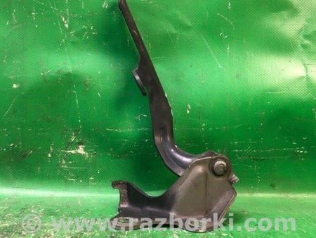 ФОТО Петля капота для Lexus ES300/ES330 (01-06) Киев