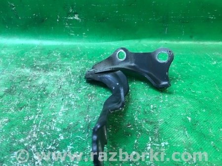 ФОТО Петля капота для Lexus ES300/ES330 (01-06) Киев