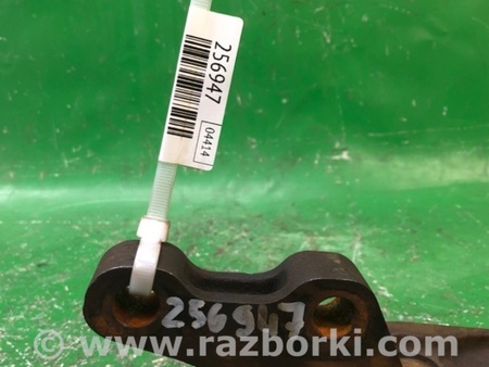ФОТО Кулак поворотный для Mitsubishi Endeavor (03-11) Киев