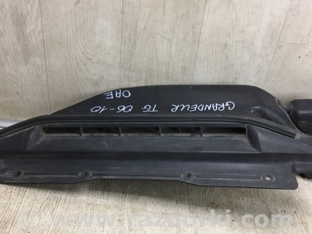 ФОТО Воздухозаборник для Hyundai Grandeur Киев