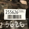 ФОТО АКПП (коробка автомат) для Toyota Solara Киев