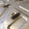 ФОТО Глушитель для Porsche Cayenne Type 955/957 (05-10) Киев