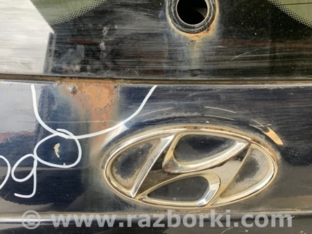 ФОТО Крышка багажника для Hyundai Santa Fe CM (05-12) Киев
