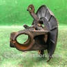 ФОТО Кулак поворотный для Volkswagen Jetta 5 1K2, 1K5 (01.2005 - 12.2010) Киев