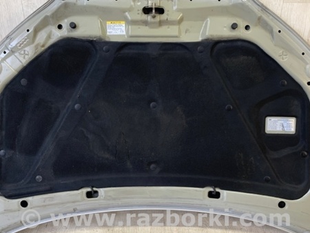 ФОТО Капот для Hyundai Elantra HD (04.2006-03.2012) Киев