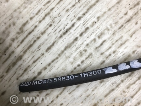 ФОТО Датчик ABS для KIA Ceed Киев
