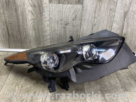 ФОТО Фара для Infiniti FX/QX70 S51 (08-17) Киев