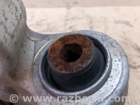 ФОТО Цапфа для Acura RDX TB 1/2 (07.2006-2012) Киев