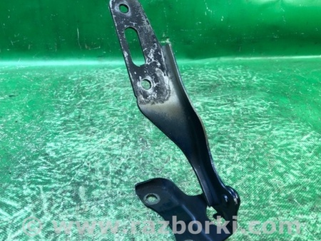 ФОТО Петля капота для Acura RDX TB 1/2 (07.2006-2012) Киев