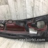 ФОТО Пластик под лобовое стекло (Жабо) для Toyota FJ Cruiser Киев