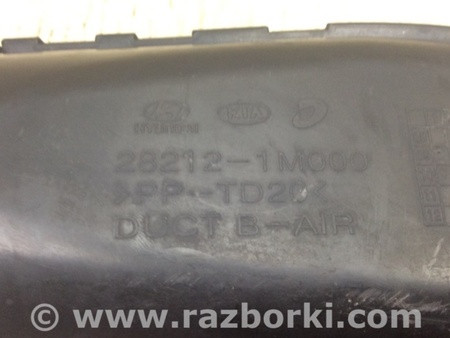 ФОТО Воздухозаборник для KIA Forte TD (08-13) Киев