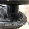 ФОТО Амортизатор для KIA Forte TD (08-13) Киев
