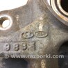 ФОТО Кулак поворотный для KIA Forte TD (08-13) Киев
