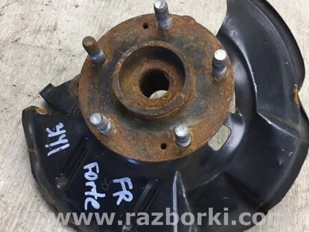 ФОТО Кулак поворотный для KIA Forte TD (08-13) Киев