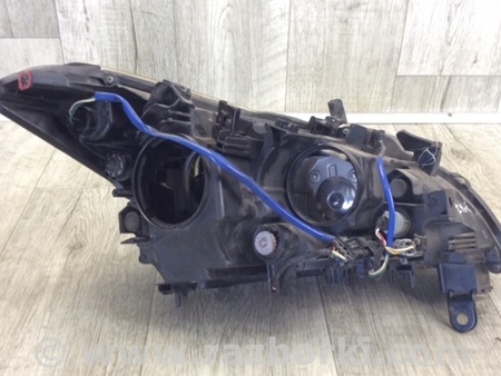 ФОТО Фара для Infiniti M25/M37/M56/Q70/M35H Киев