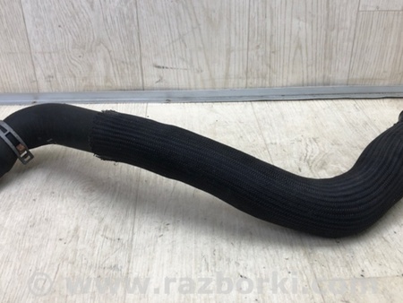 ФОТО Патрубок системы охлаждения для Ford Edge 1 U387 (01.2006-04.2015) Киев