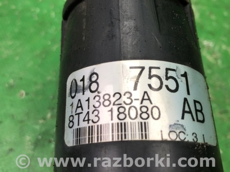 ФОТО Амортизатор для Ford Edge 1 U387 (01.2006-04.2015) Киев