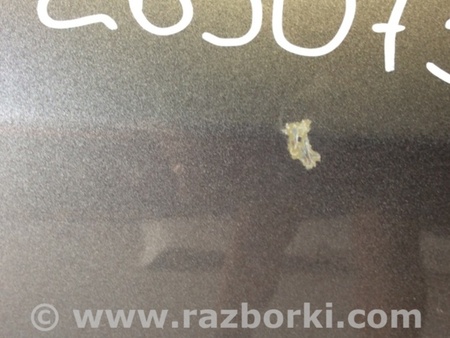 ФОТО Дверь для Ford Edge 1 U387 (01.2006-04.2015) Киев