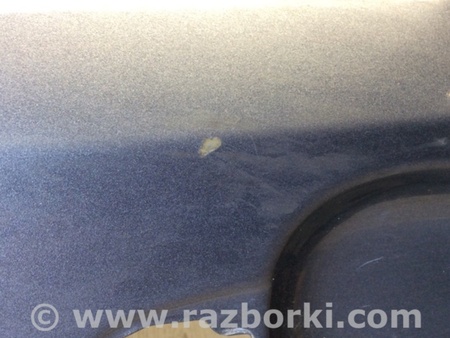 ФОТО Дверь для Ford Edge 1 U387 (01.2006-04.2015) Киев