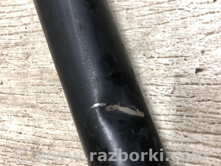 ФОТО Амортизатор для Nissan Rogue (08-14) Киев