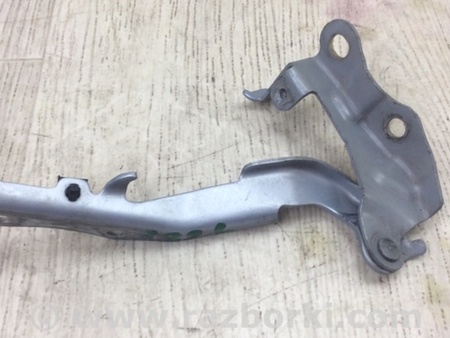 ФОТО Петля капота для Lexus ES350 (06-12) Киев