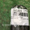 ФОТО Петля двери нижняя для Nissan Juke (10-19) Киев