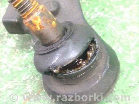 ФОТО Рычаг передний нижний для Honda Odyssey (11-17) Киев