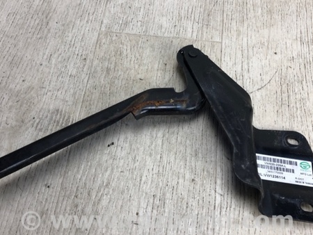 ФОТО Петля капота для Volkswagen Jetta USA (10-17) Киев