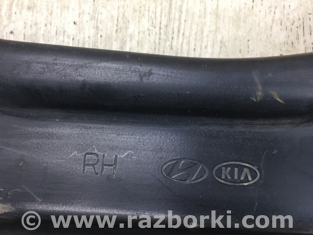 ФОТО Рычаг задний продольный для Hyundai Sonata YF (09.2009-03.2014) Киев