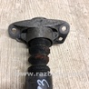 ФОТО Амортизатор для Volkswagen Jetta USA (10-17) Киев