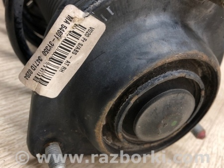 ФОТО Амортизатор для Hyundai Elantra MD (04.2010-05.2016) Киев