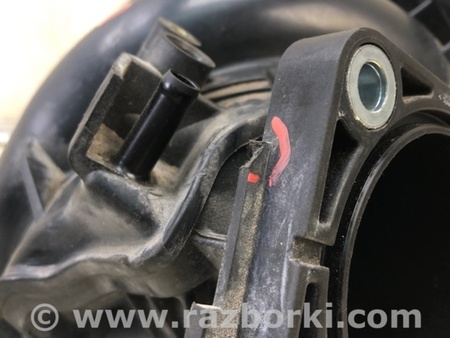 ФОТО Впускной коллектор для Acura TSX CU2 (03.2008-05.2014) Киев