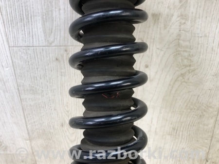 ФОТО Амортизатор для Acura TSX CU2 (03.2008-05.2014) Киев