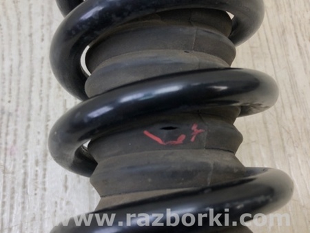 ФОТО Амортизатор для Acura TSX CU2 (03.2008-05.2014) Киев