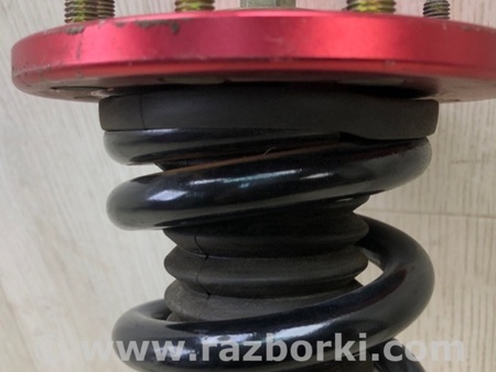 ФОТО Амортизатор для Acura TSX CU2 (03.2008-05.2014) Киев