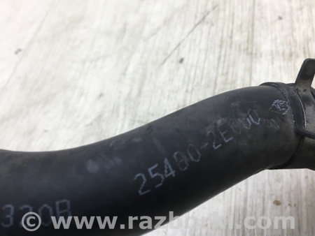 ФОТО Патрубок системы охлаждения для Hyundai Elantra MD (04.2010-05.2016) Киев