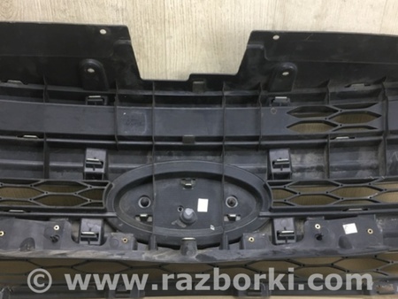 ФОТО Решетка радиатора для Ford Edge 1 U387 (01.2006-04.2015) Киев