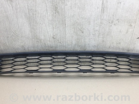 ФОТО Решетка переднего бампера для Ford Edge 1 U387 (01.2006-04.2015) Киев