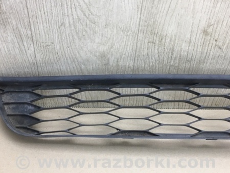 ФОТО Решетка переднего бампера для Ford Edge 1 U387 (01.2006-04.2015) Киев