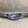 ФОТО Решетка радиатора для Hyundai Sonata YF (09.2009-03.2014) Киев