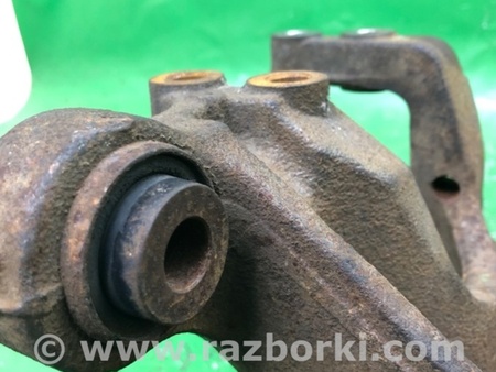 ФОТО Цапфа для Ford Edge 1 U387 (01.2006-04.2015) Киев