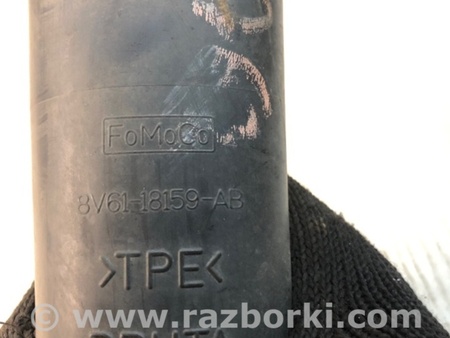 ФОТО Амортизатор для Ford Escape 3 (01.2012-12.2018) Киев