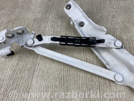 ФОТО Петля крышки багажника для Volkswagen Beetle A5 5C1 (09.2011-11.2016) Киев