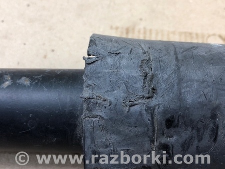ФОТО Амортизатор для Volkswagen Jetta USA (10-17) Киев